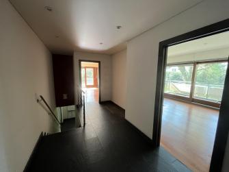 La liberté de la création