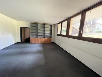 La liberté de la création