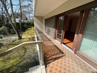 La liberté de la création