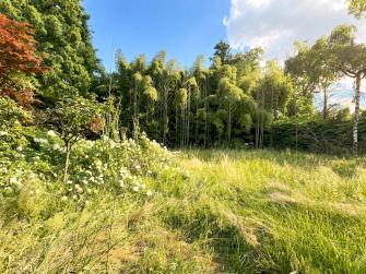 Une propriété d’exception au cœur d’un parc arboré