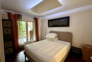 Magnifique duplex au cœur de Bellevue