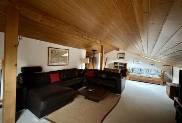Magnifique duplex au cœur de Bellevue