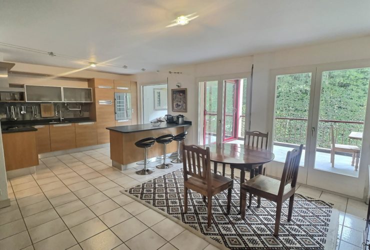 Magnifique duplex au cœur de Bellevue