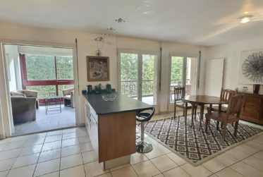 Magnifique duplex au cœur de Bellevue