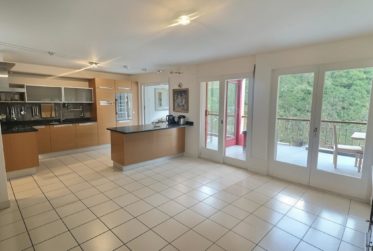 Beau duplex au cœur de Bellevue